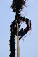 2016-04-30 Maibaum stellen 028 (DSC_0303)